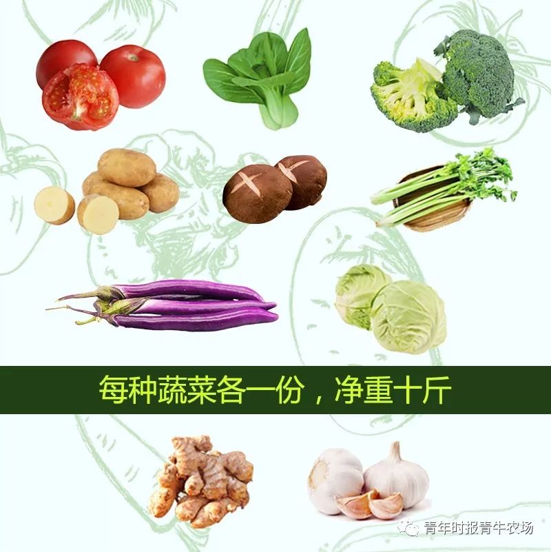 买菜app哪个好_买菜网app_苏州买菜app